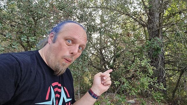 Dan points towards some bushes.