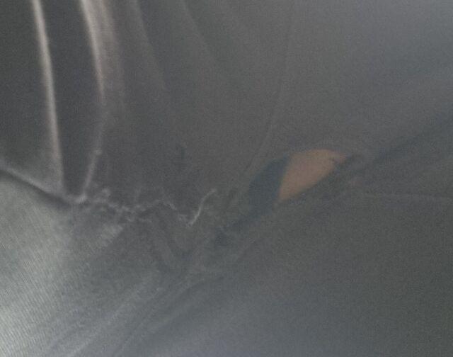 Close-up of the crotch of a pair of black tracksuit bottoms, with some skin and underwear visible through a small hole.