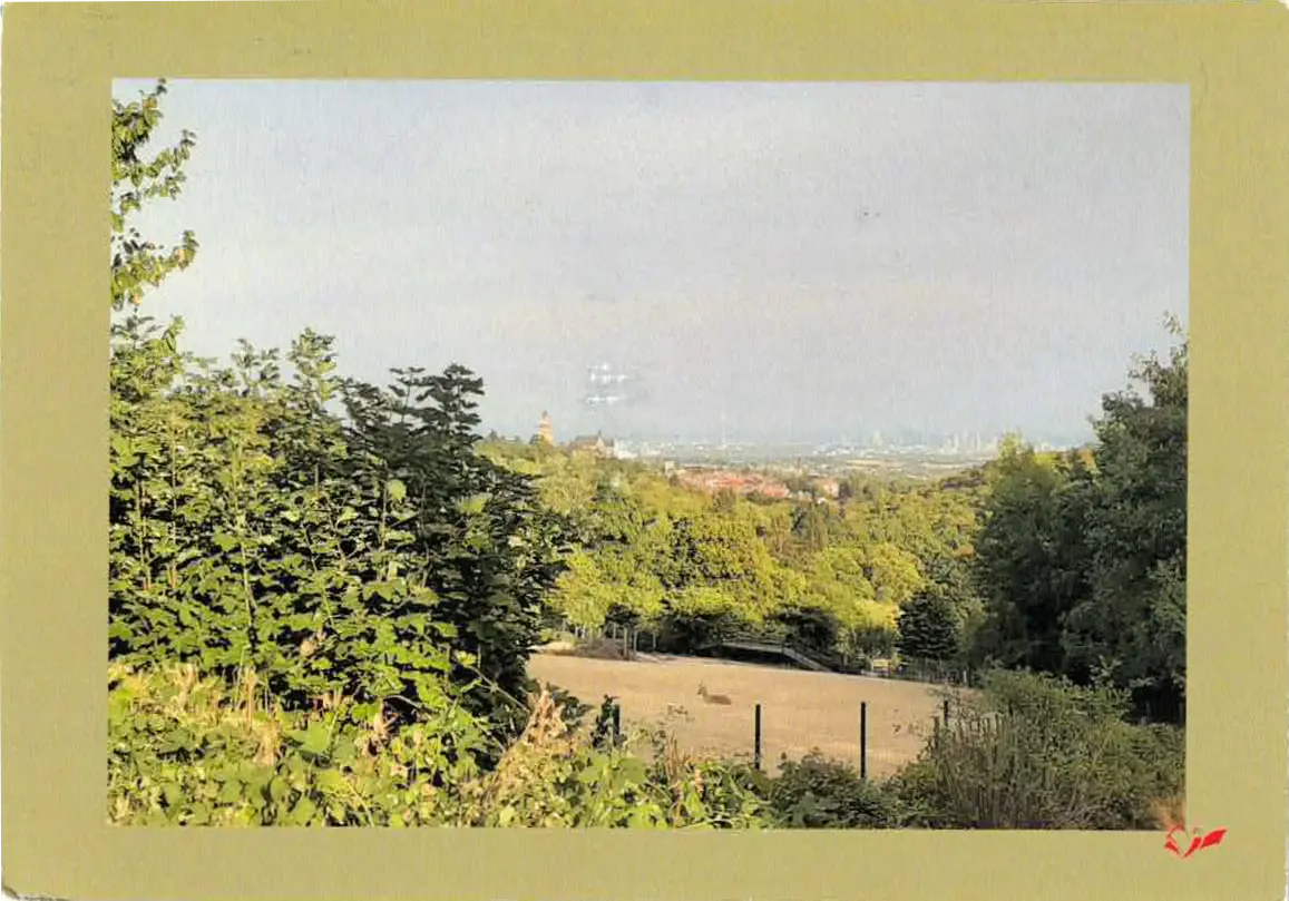 Photo postcard showing a valley flanked by deciduous woodlands.