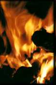 Fire