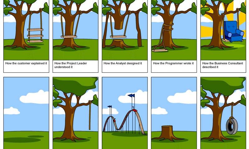 Software projects in the context of swings