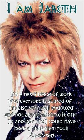 I am Jareth, the Goblin King! I'm a nasty piece of work who everyone is scared of. I'm also very well endowed and not afraid to show it off! In another life I could have been a huge glam rock superstar!