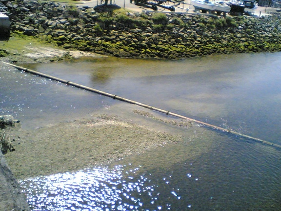 Full image of Looking down on the pipe from the bridge.