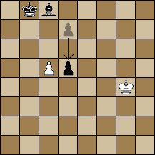 Image representing post: Curious Bug