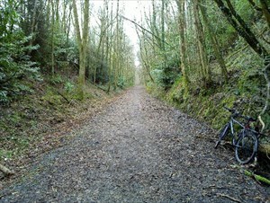 Image representing post: Found GL3DV27R Kennel Bridge