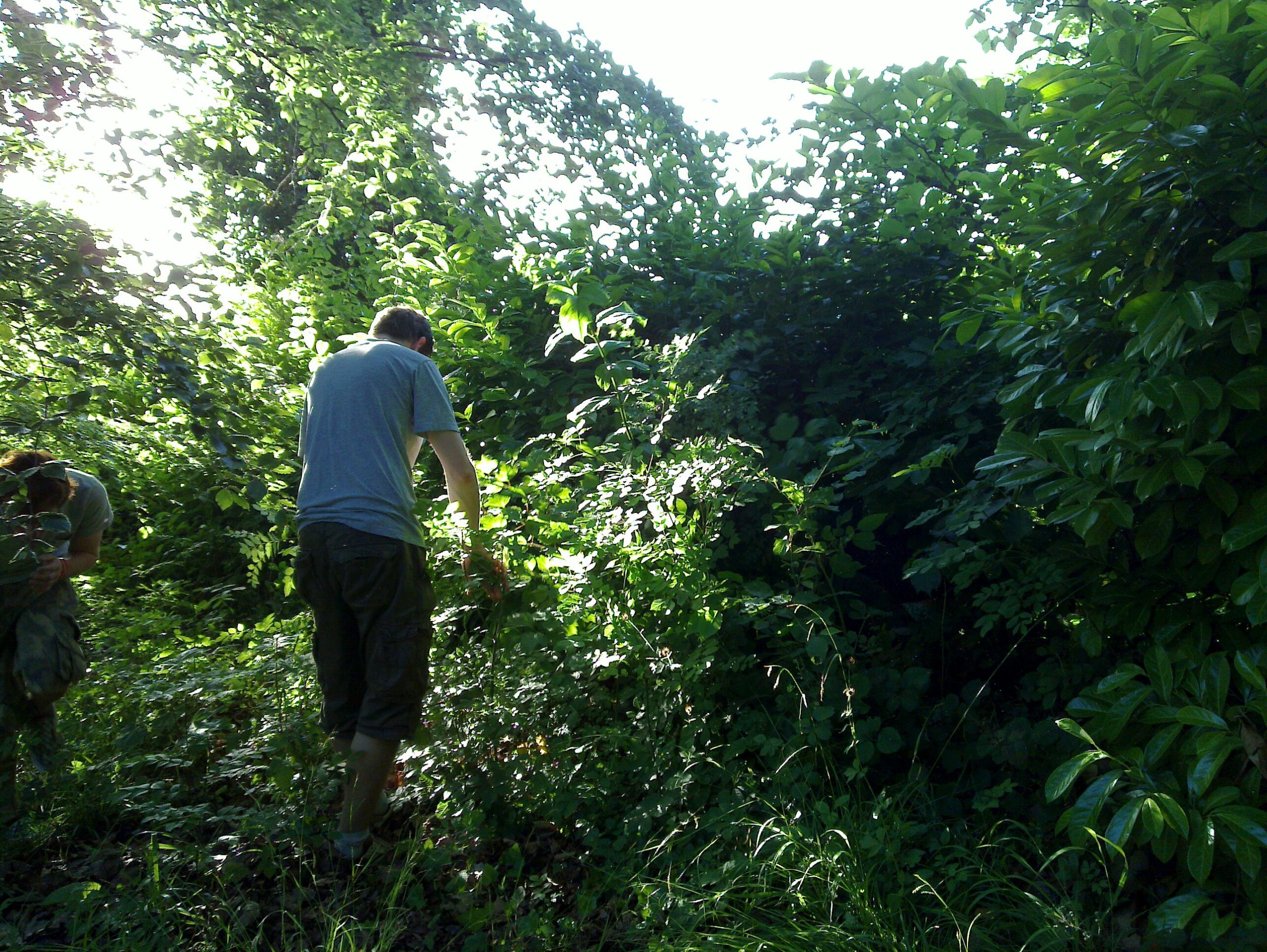 Full image of Hunting for a lost disc