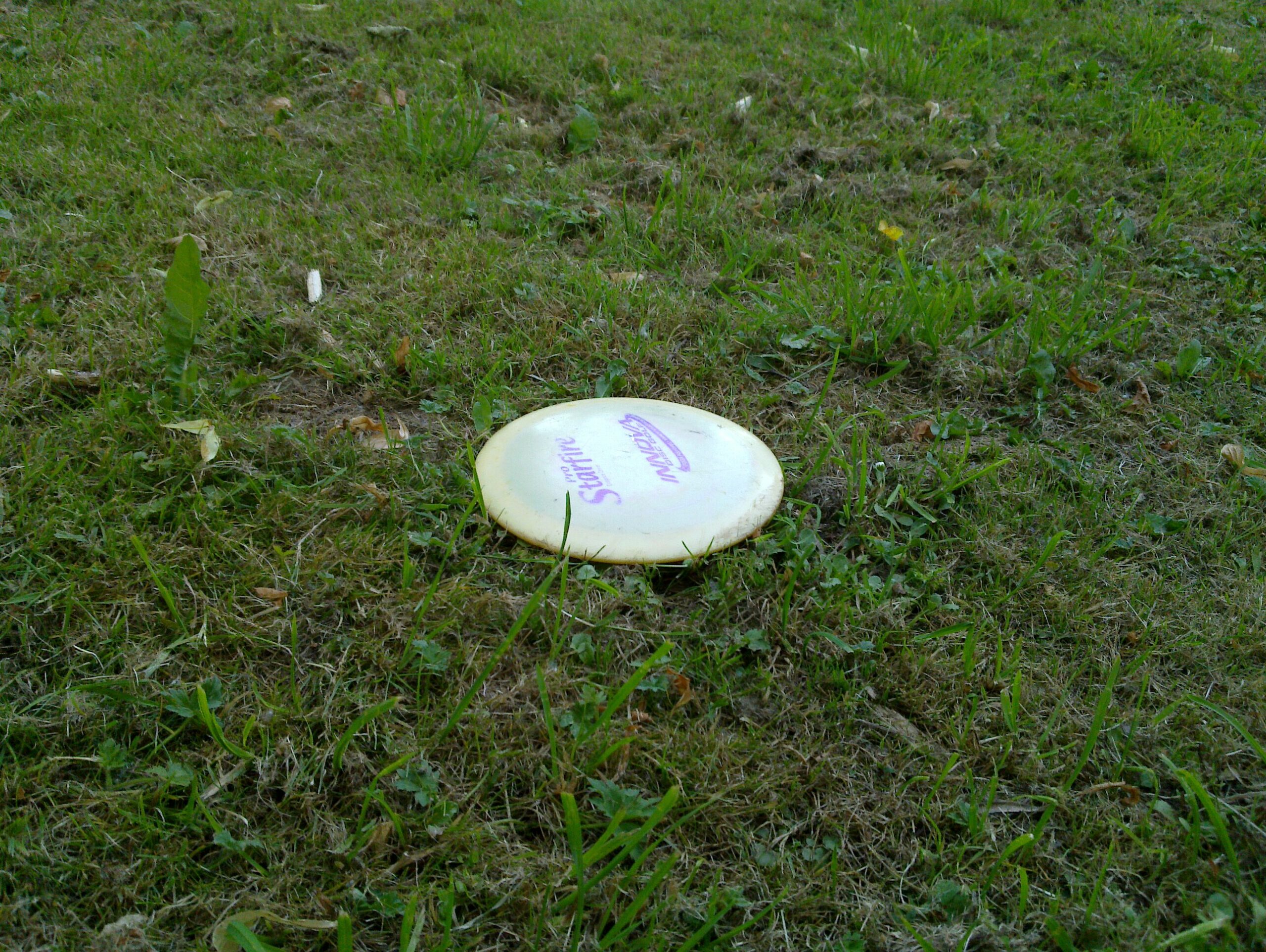 Full image of My "driver", nestled in the short tufty grass of Headington Hill parkMy "driver", nestled in the short tufty grass of Headington Hill park