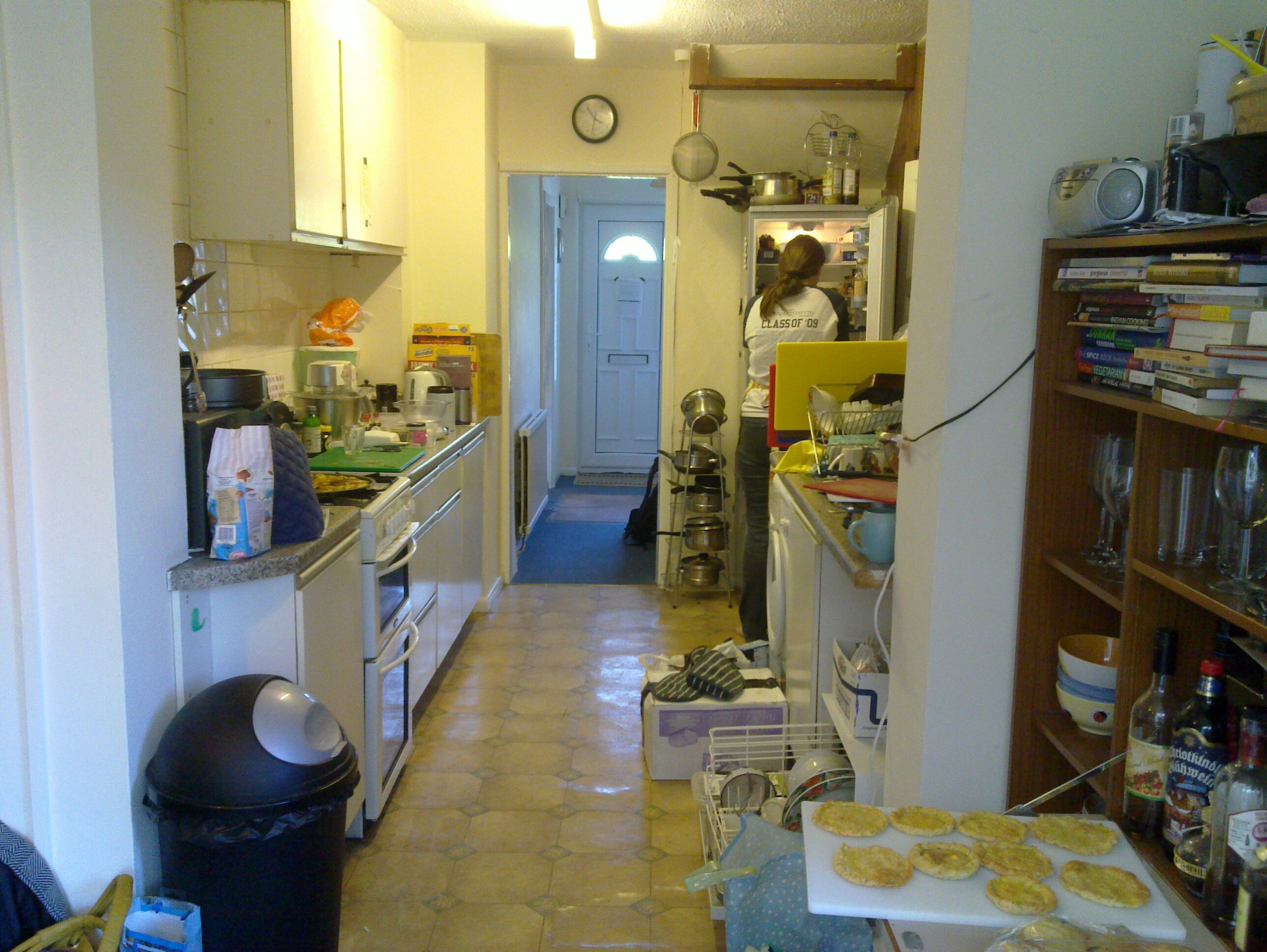 Full image of Earth's galley kitchen.
