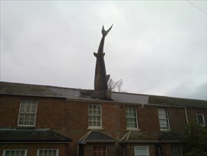 The Headington Shark.
