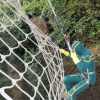 Image representing post: Remember Go Ape?