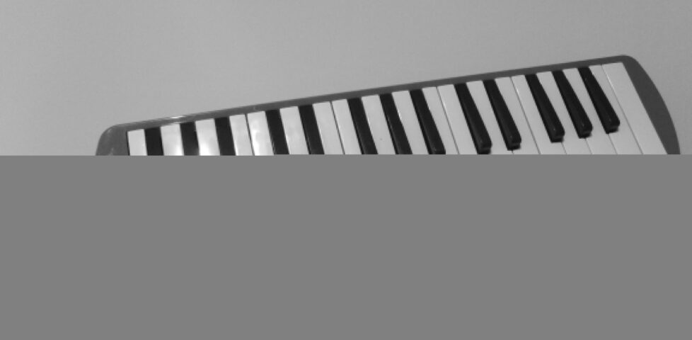 The 'keyboard' that Adam had sent.