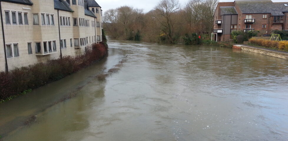 From the bridge, it's clear how much the waters have risen.