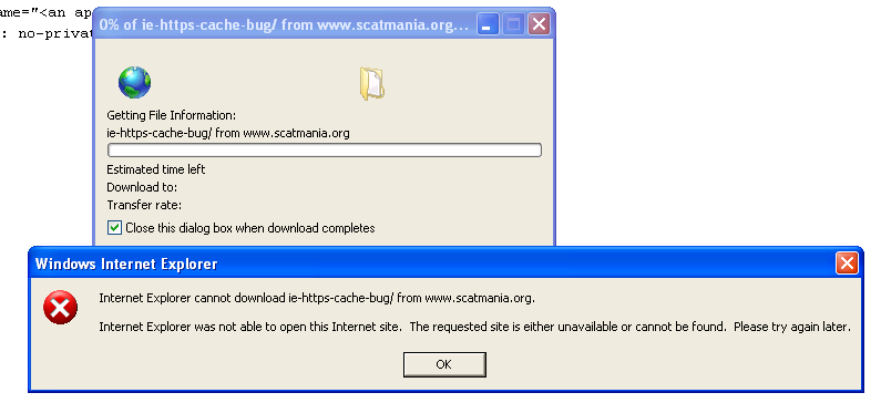 A completely useless Internet Explorer error message.