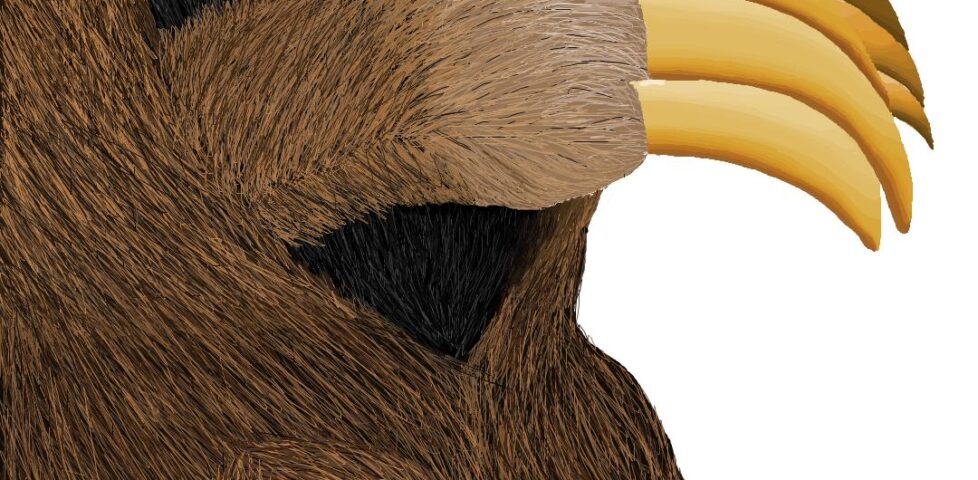 MS Paint sloth