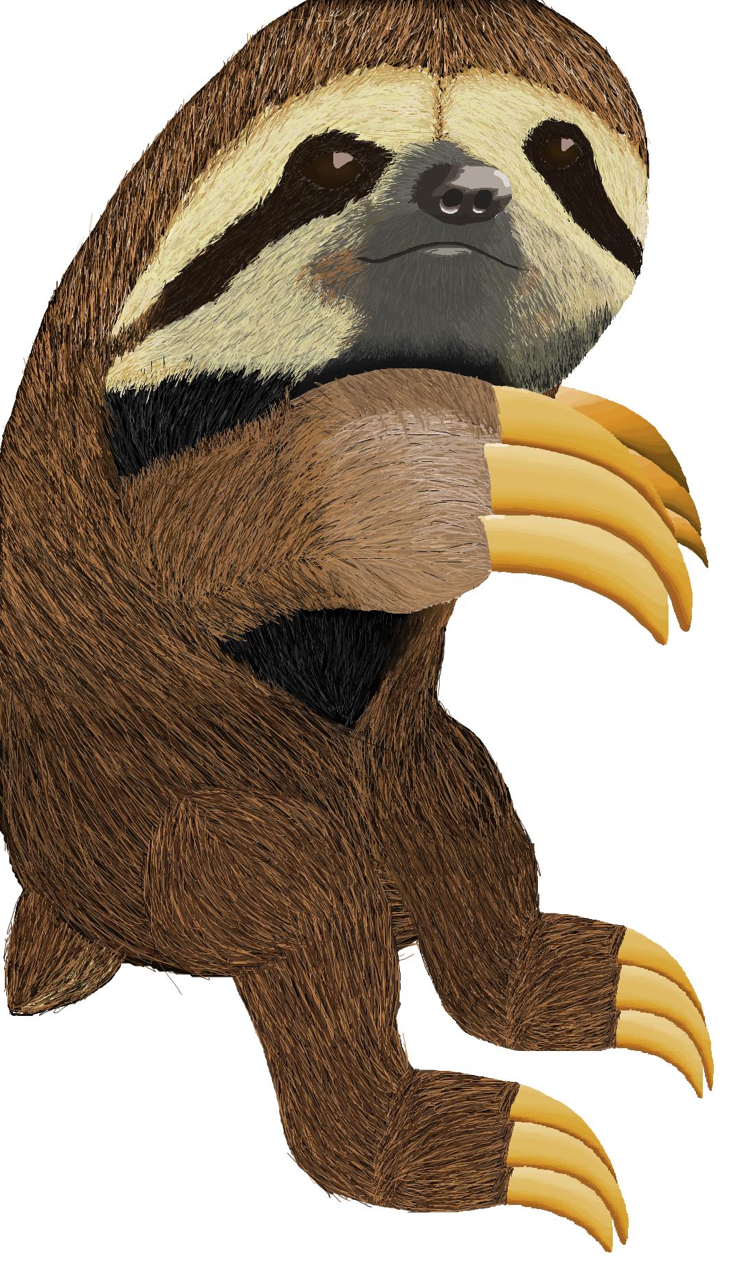 MS Paint sloth