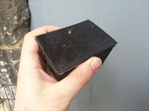 Geocache "Beaumont Palace"