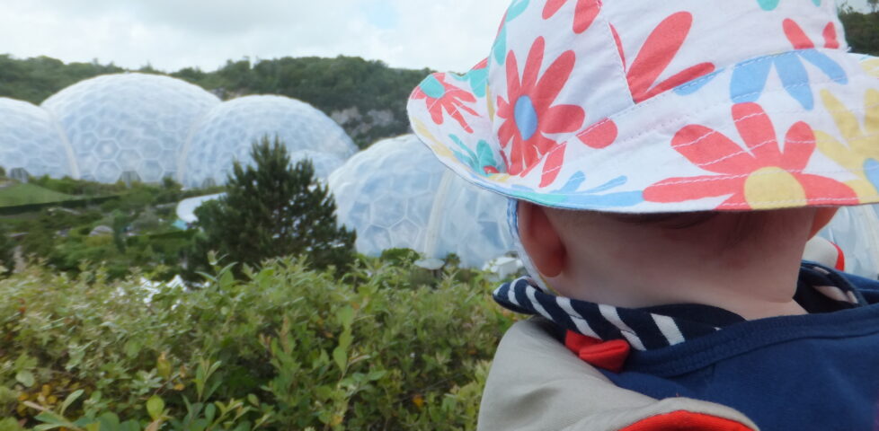 Annabel looks out over the Eden Project