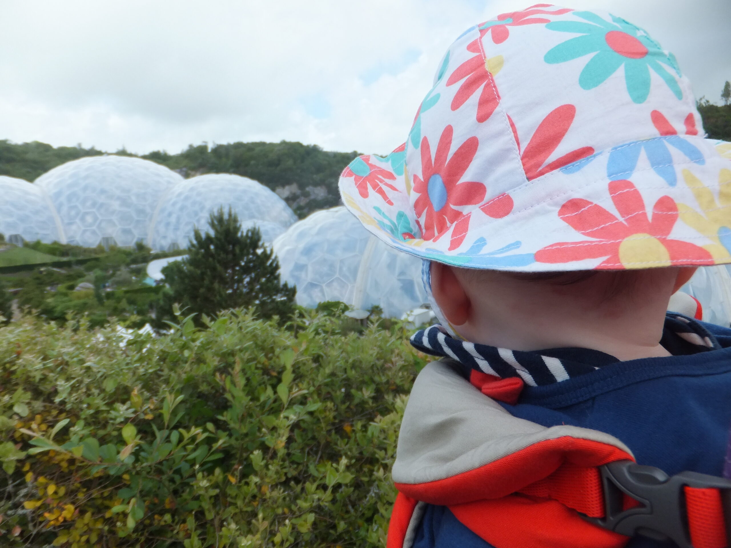 Full image of Annabel looks out over the Eden Project