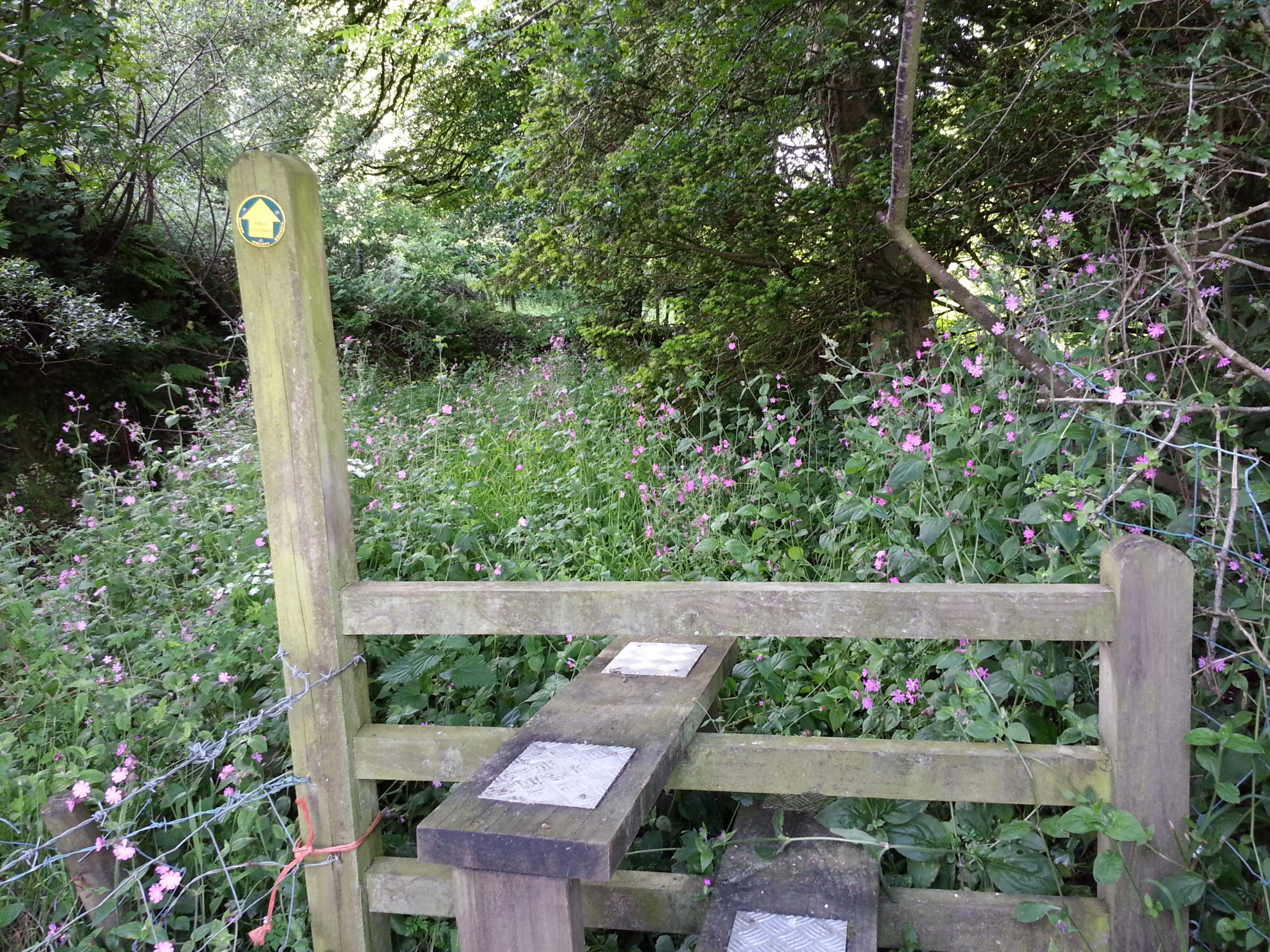 Full image of Stile to an overgrown path; Devon.