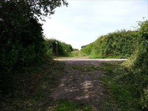 Geocaching trail.