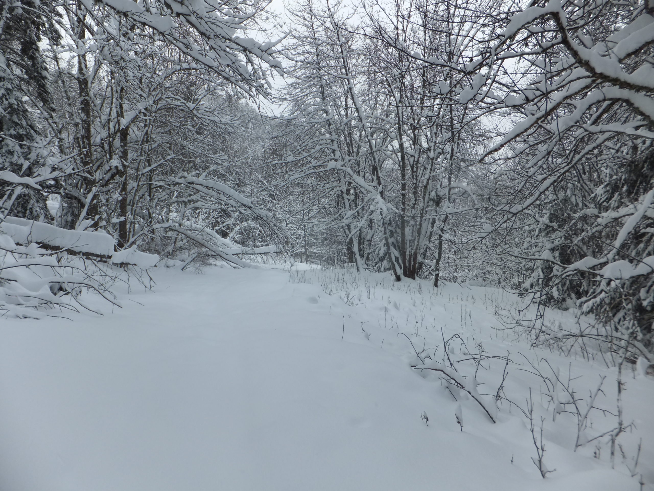 Full image of The snow-covered "path" from La Tania to La Nouvaz.