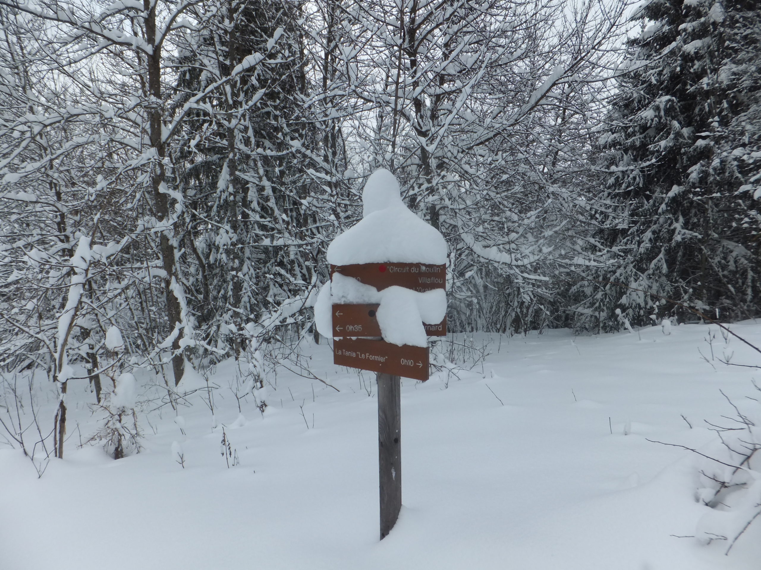 Full image of A hiking trail sign outside of La Tania, covered in snow.