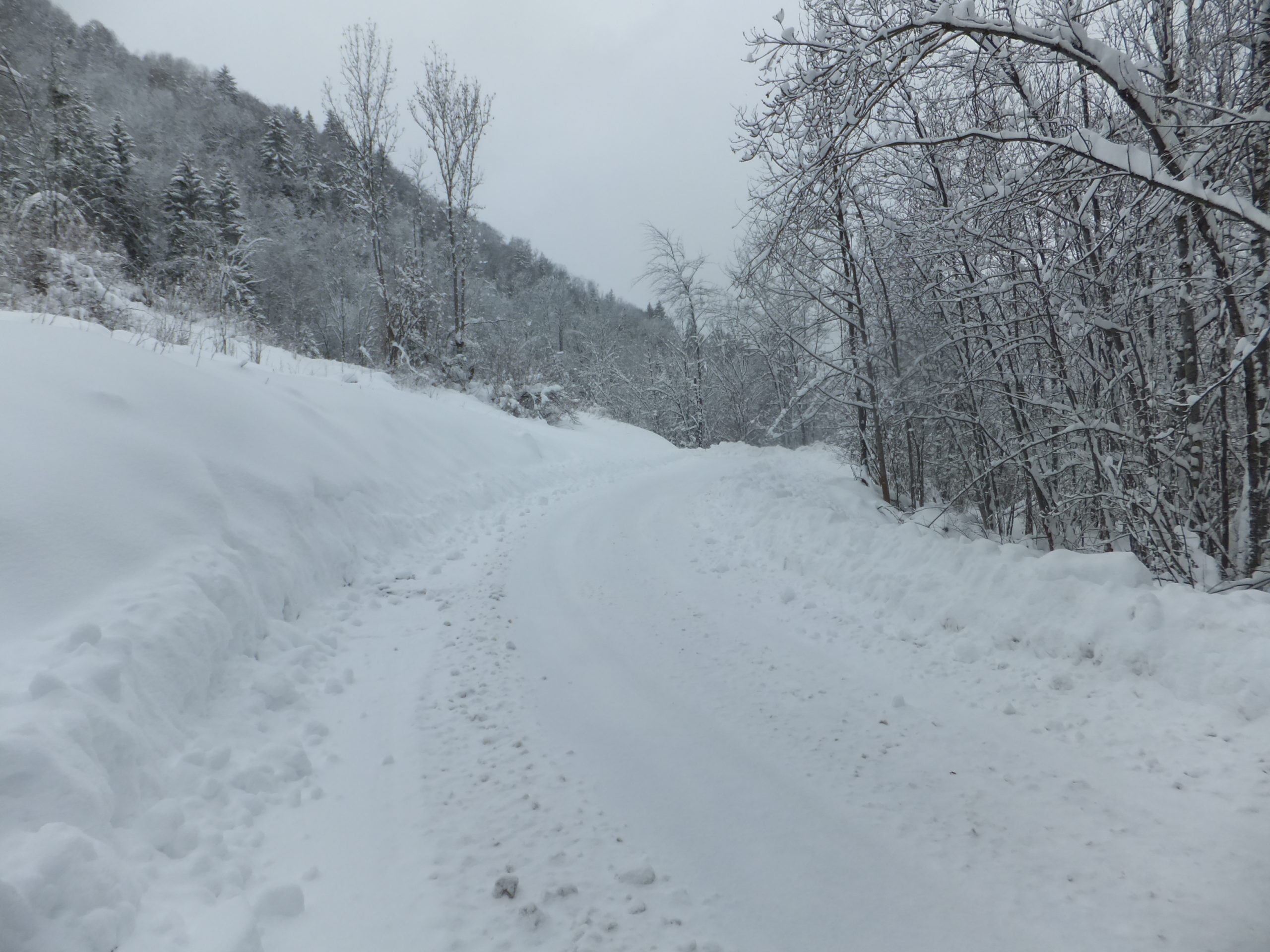 Full image of A family of Luxembourgers were trying to drive up this road as I came back across it, on my way back. Their wheels span as they failed to get traction. I noted that all of the local cars, parked in the village, had snow chains.