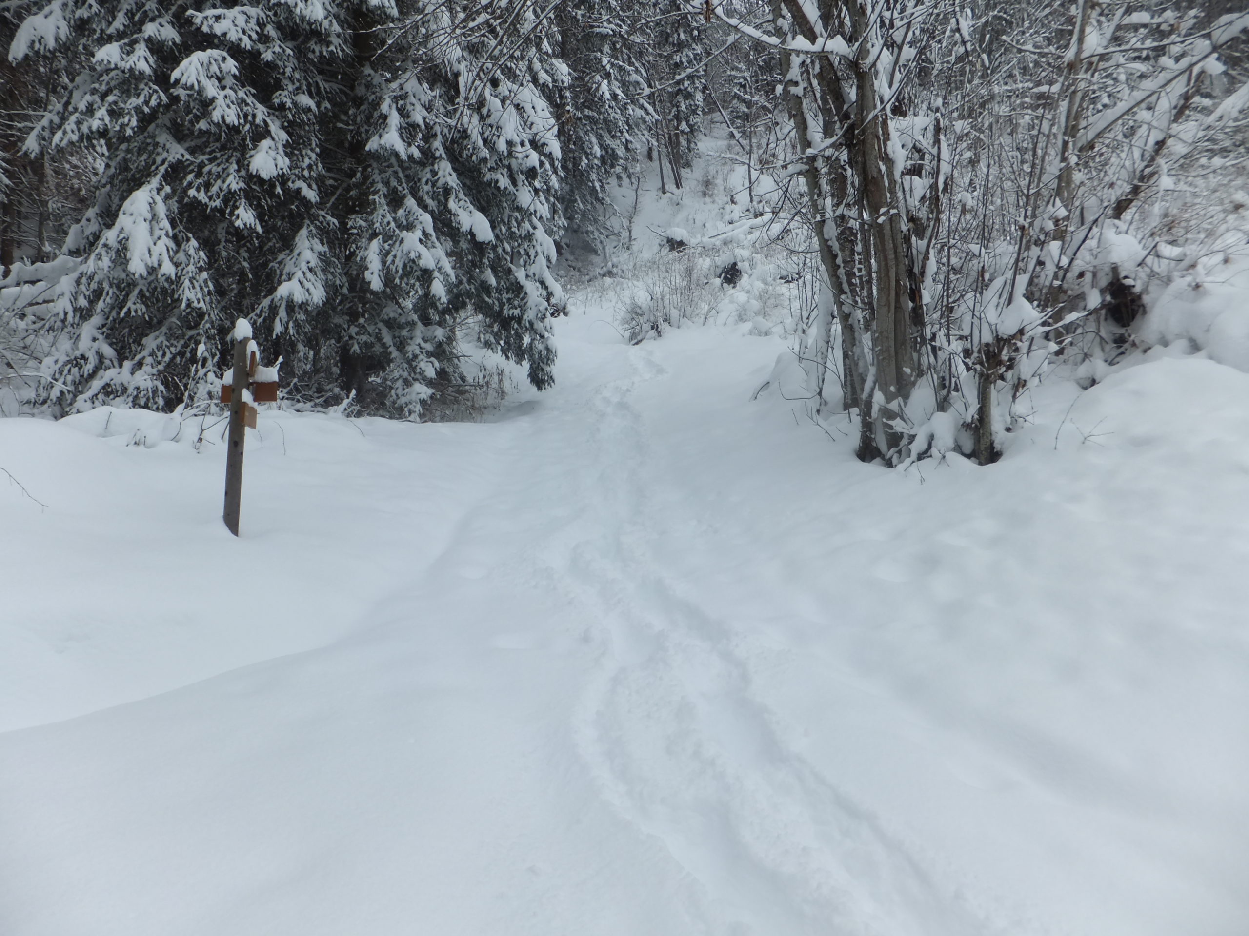 Full image of And seriously: who's at the end of their second trimester and thinks that hiking though waist-deep snow down an unmarked trail up the side of an Alp, in winter, is a good idea?
