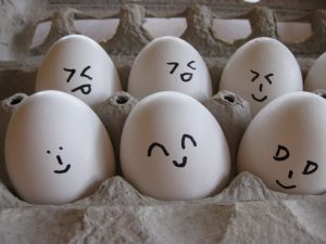 In software (and other media), "Easter Eggs" are undocumented hidden features, often in the form of inside jokes.