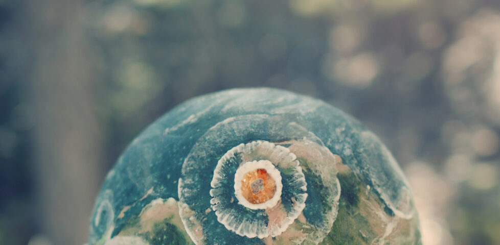 Earth Cake