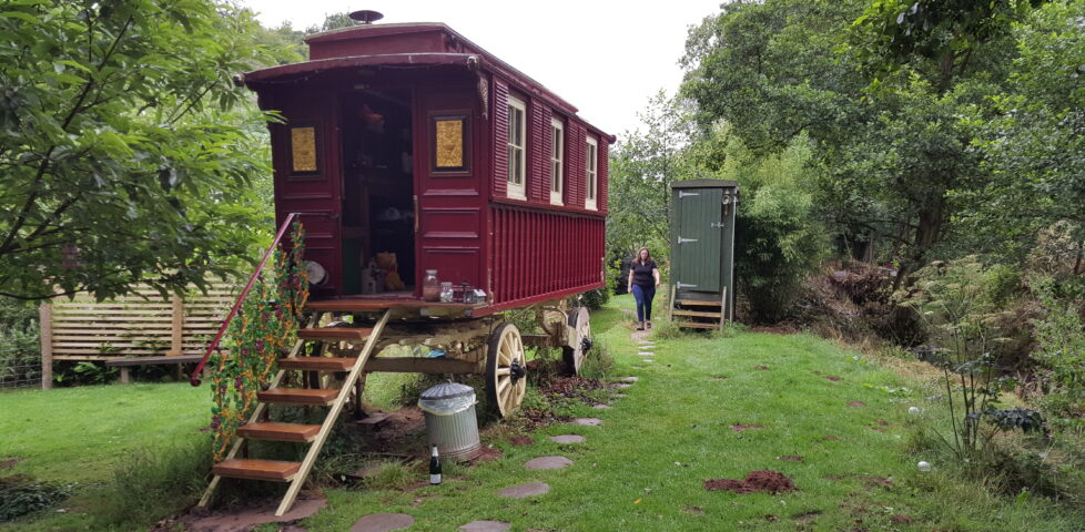 Image representing post: Anniversary at Wriggles Brook