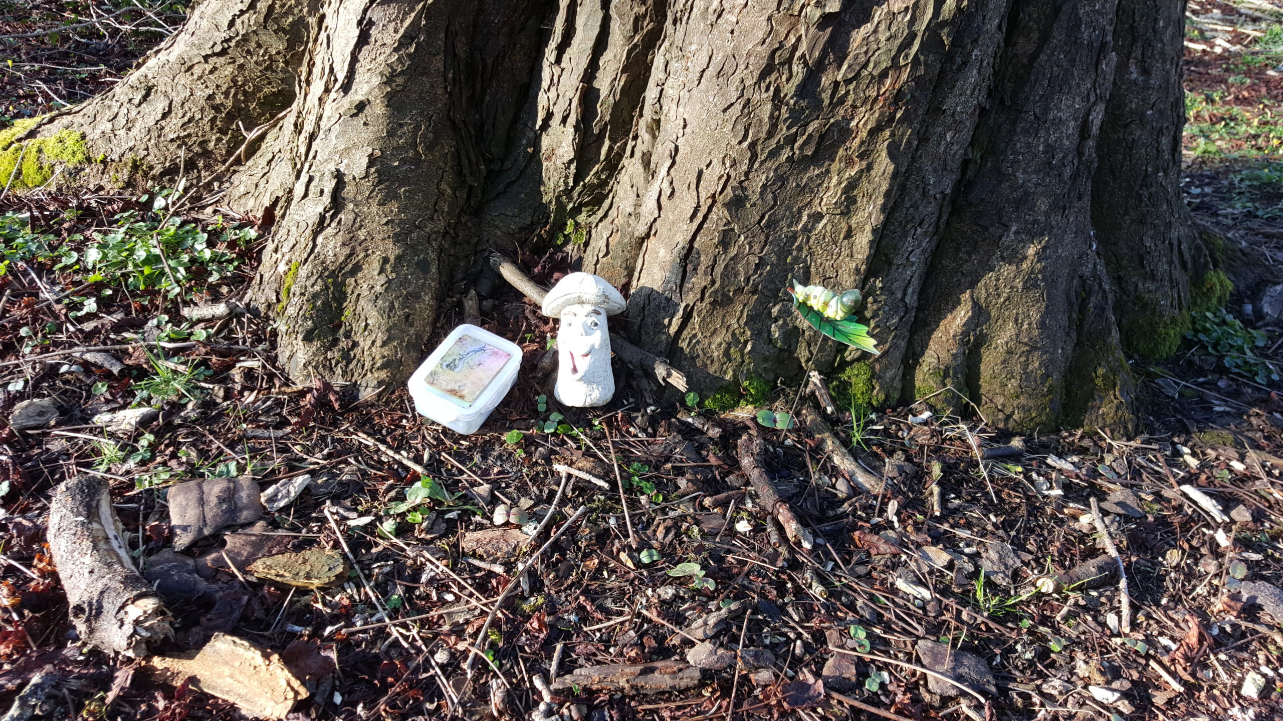 Full image of Geocache GC4EE6C, with accompanying caterpillar and mushroom
