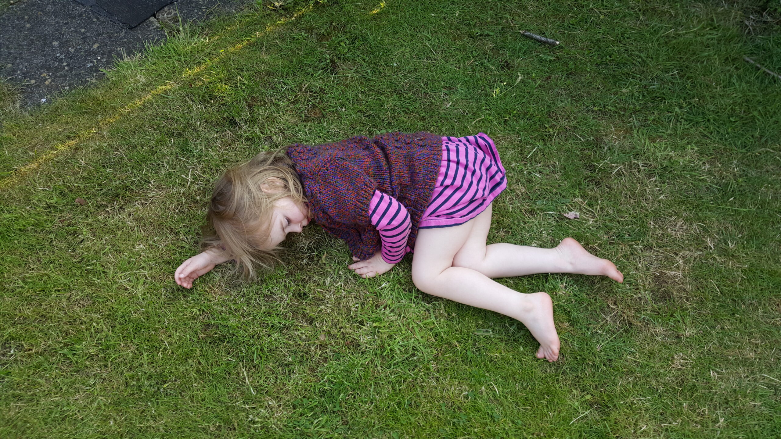 Full image of Annabel plays-dead after "falling off a mountain".
