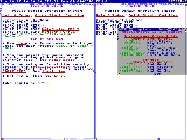 TempleOS