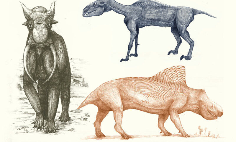 Image representing post: The Bad Hair, Incorrect Feathering, and Missing Skin Flaps of Dinosaur Art