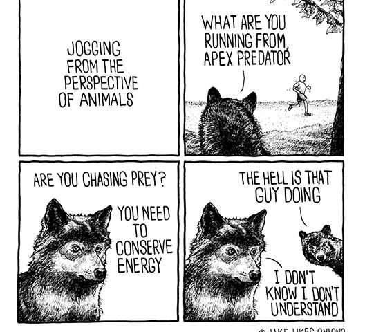Jogging from the perspective of animals