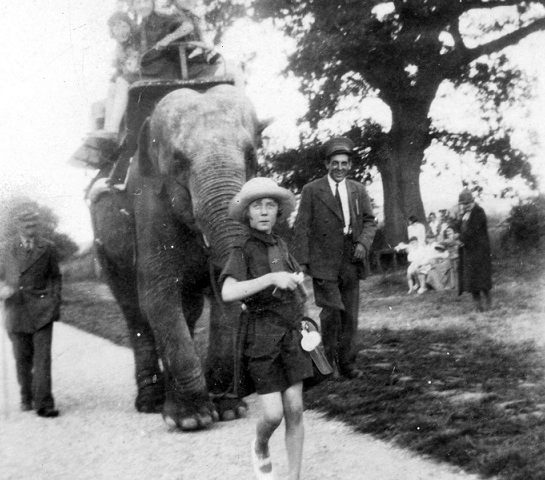 Rosie the elephant provides rides for children
