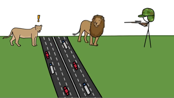 Image representing post: Rise Of The Mesopredator