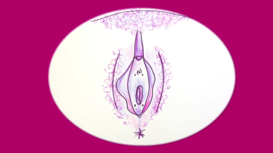 Image representing post: Does Pee Come out of the Vagina?