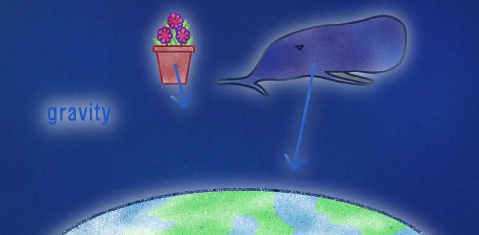 Image representing post: Einstein's theory still passes the test: weak and strong gravity objects fall the same way