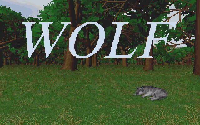Image representing post: AWOOOOO
