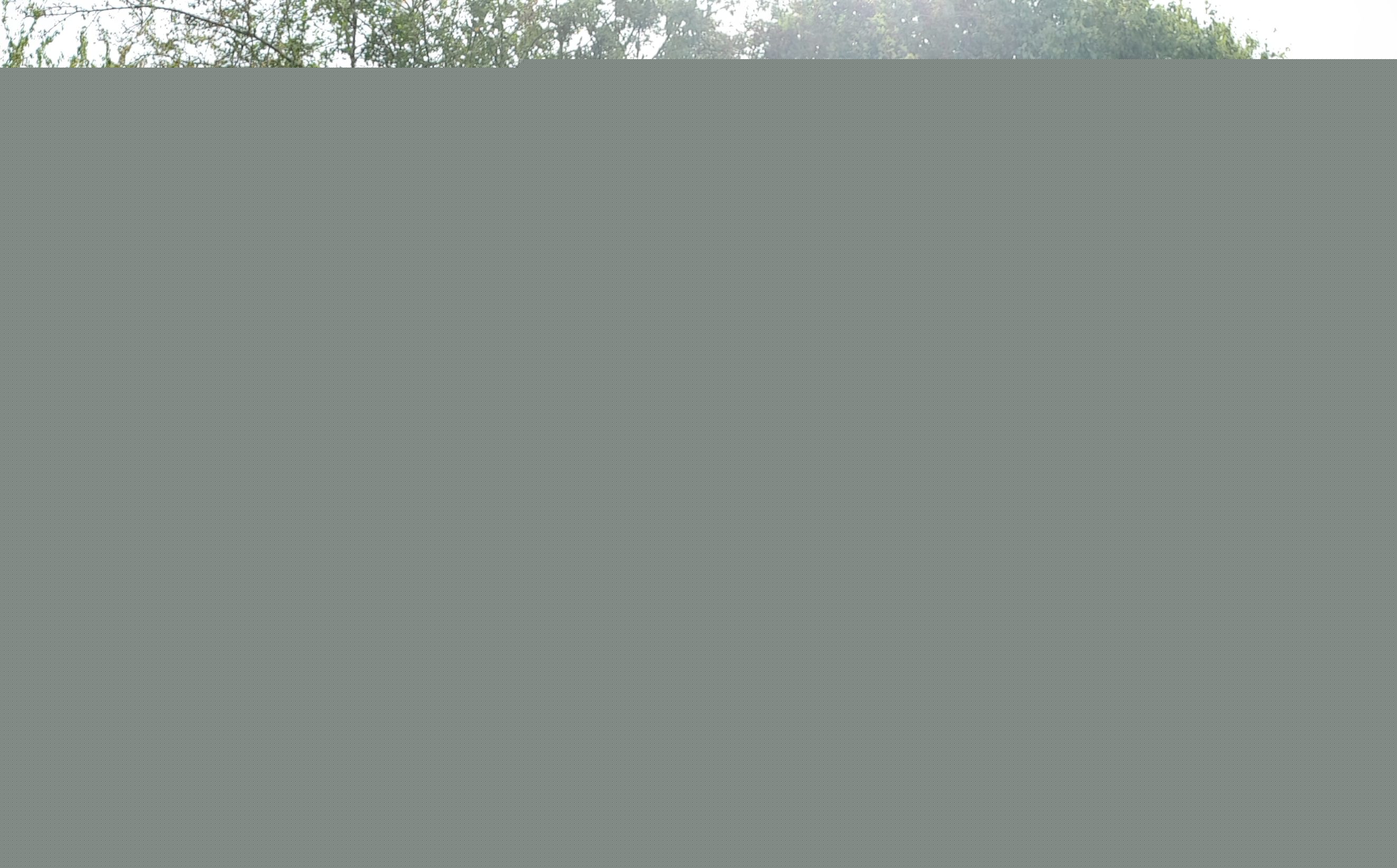 Full image of Dan in a field.