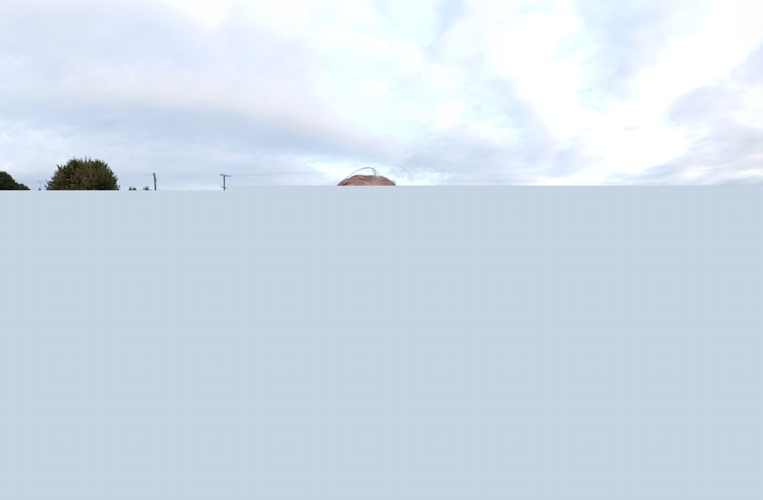 Full image of In a field of cows.