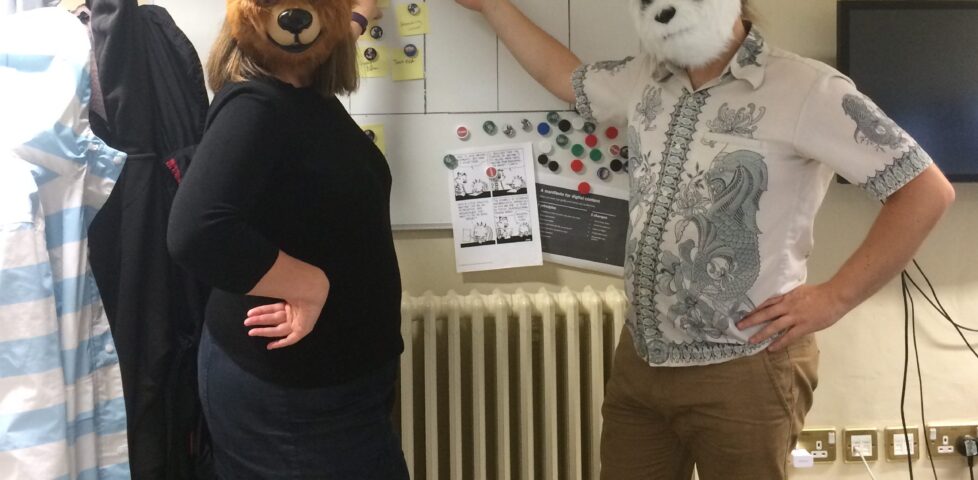 Bears in the office