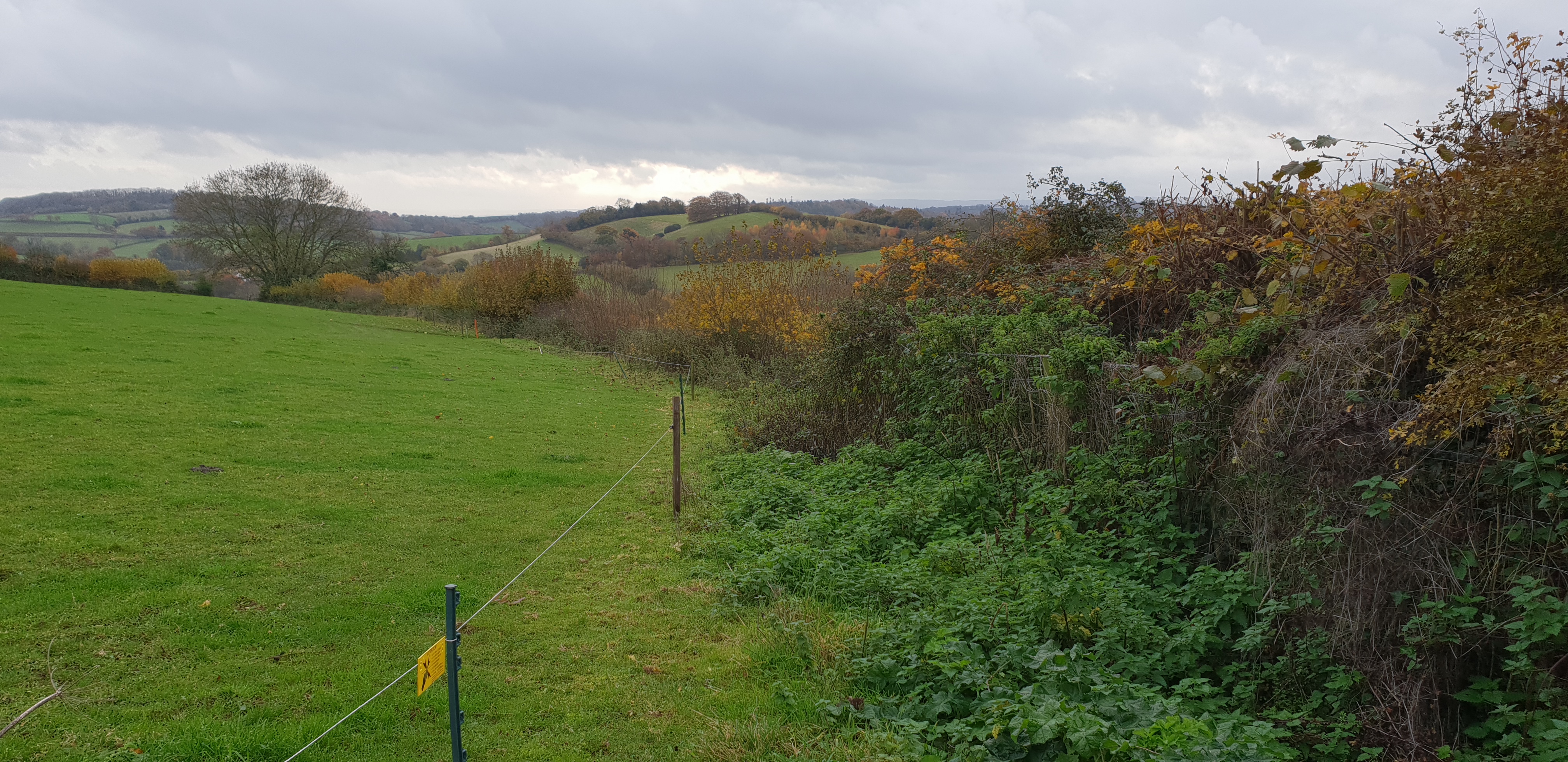 Full image of The gap between the electric fence and the bushes is allegedly a footpath