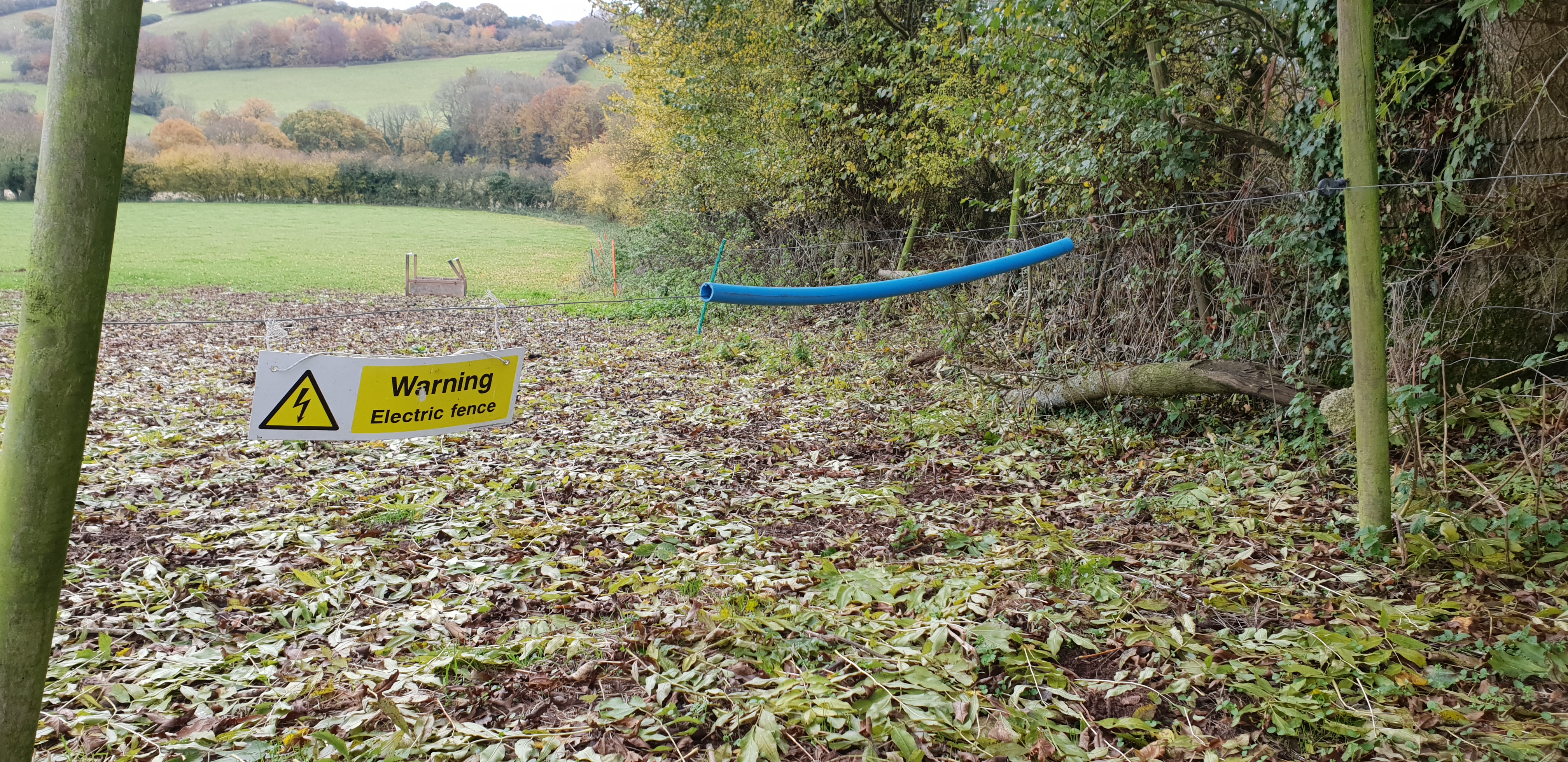 Full image of That looks like a safe concession to your electric fence crossing a right of way