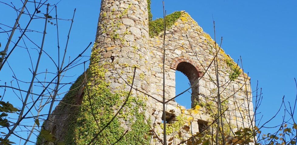 Ruin of Halamanning Engine House