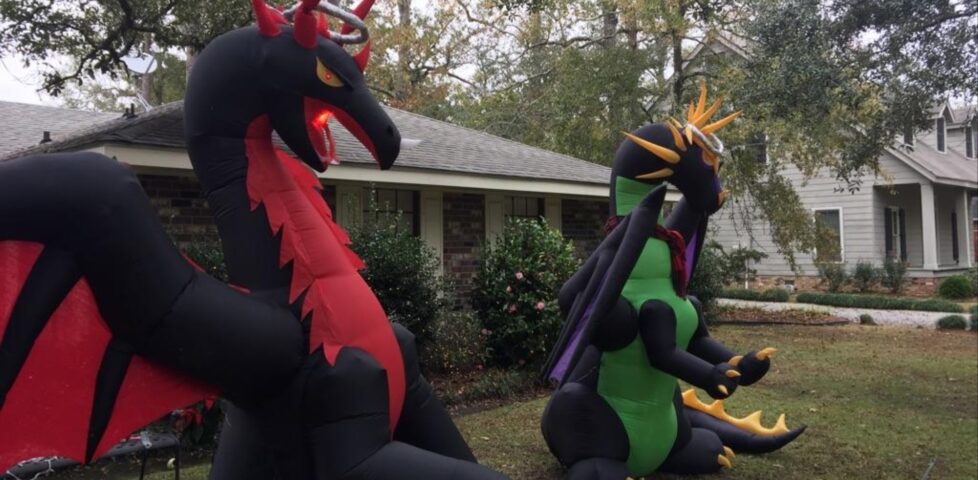 Dragons