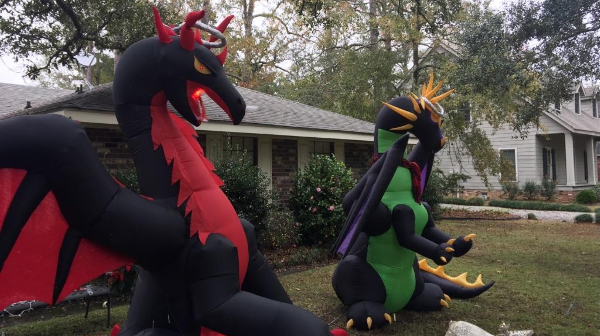 Dragons