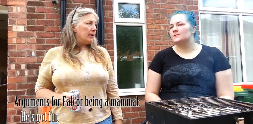 Image representing post: Family Vlog Moments - Falcor